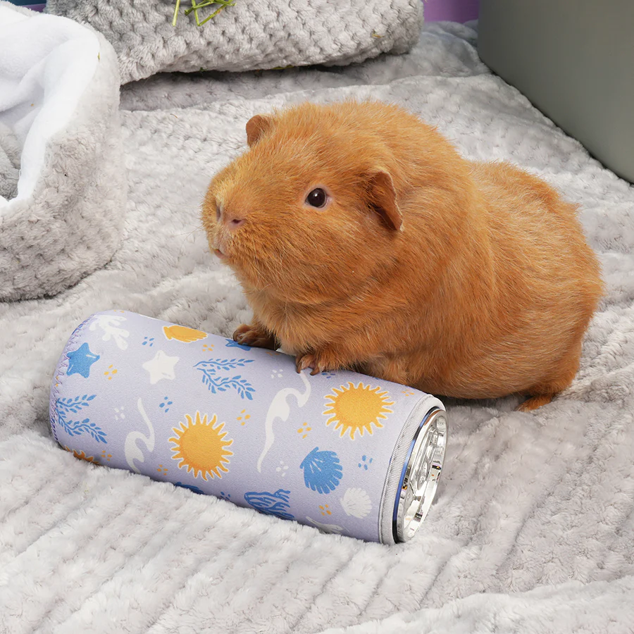 Freezable Bottle for Guinea Pigs & Rabbits - Image 3
