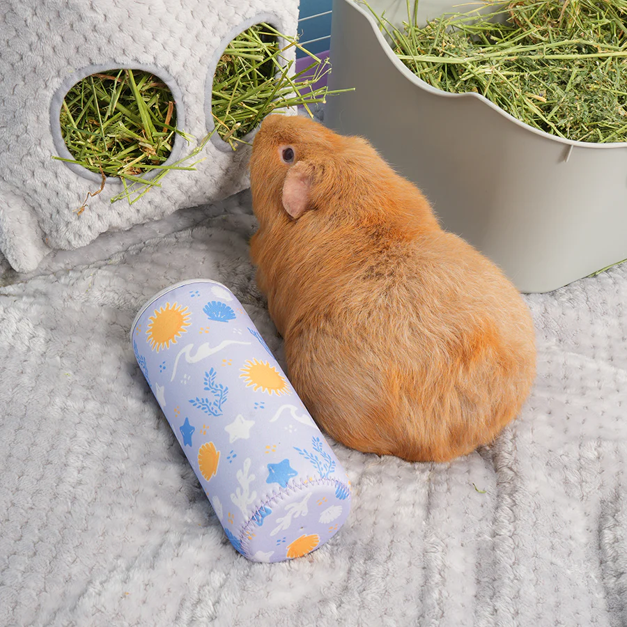 Freezable Bottle for Guinea Pigs & Rabbits - Image 7