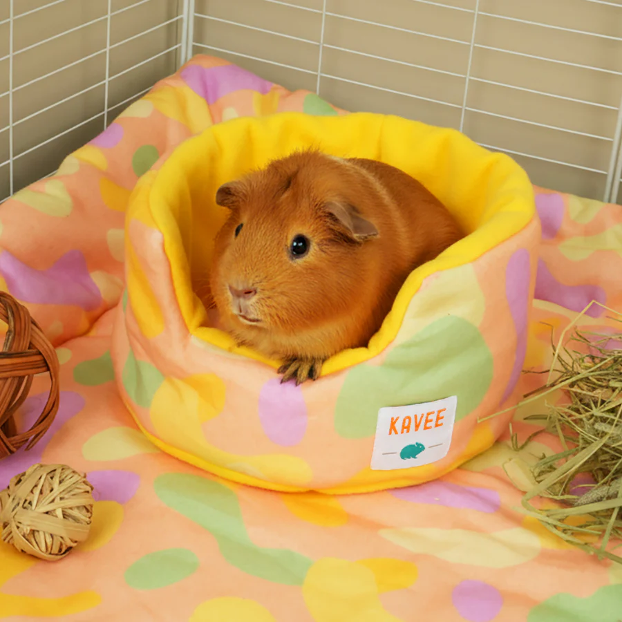 Guinea Pig Cuddle Cup | Pigcasso V2 Collection - Image 3