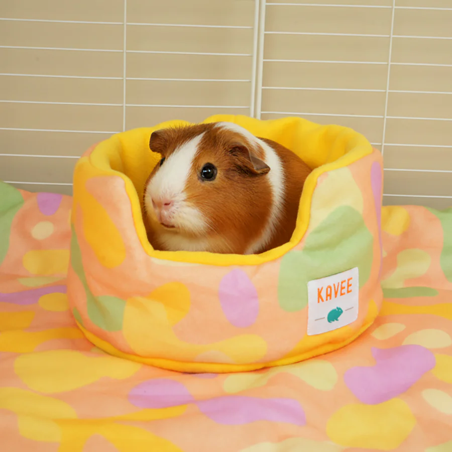 Guinea Pig Cuddle Cup | Pigcasso V2 Collection - Image 5
