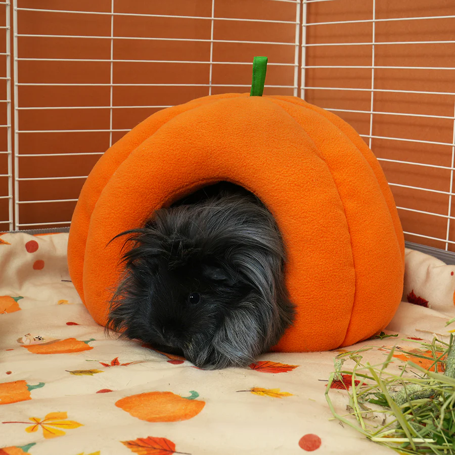 Fleece Bed | Pawmkin Spice Floofs - Image 4
