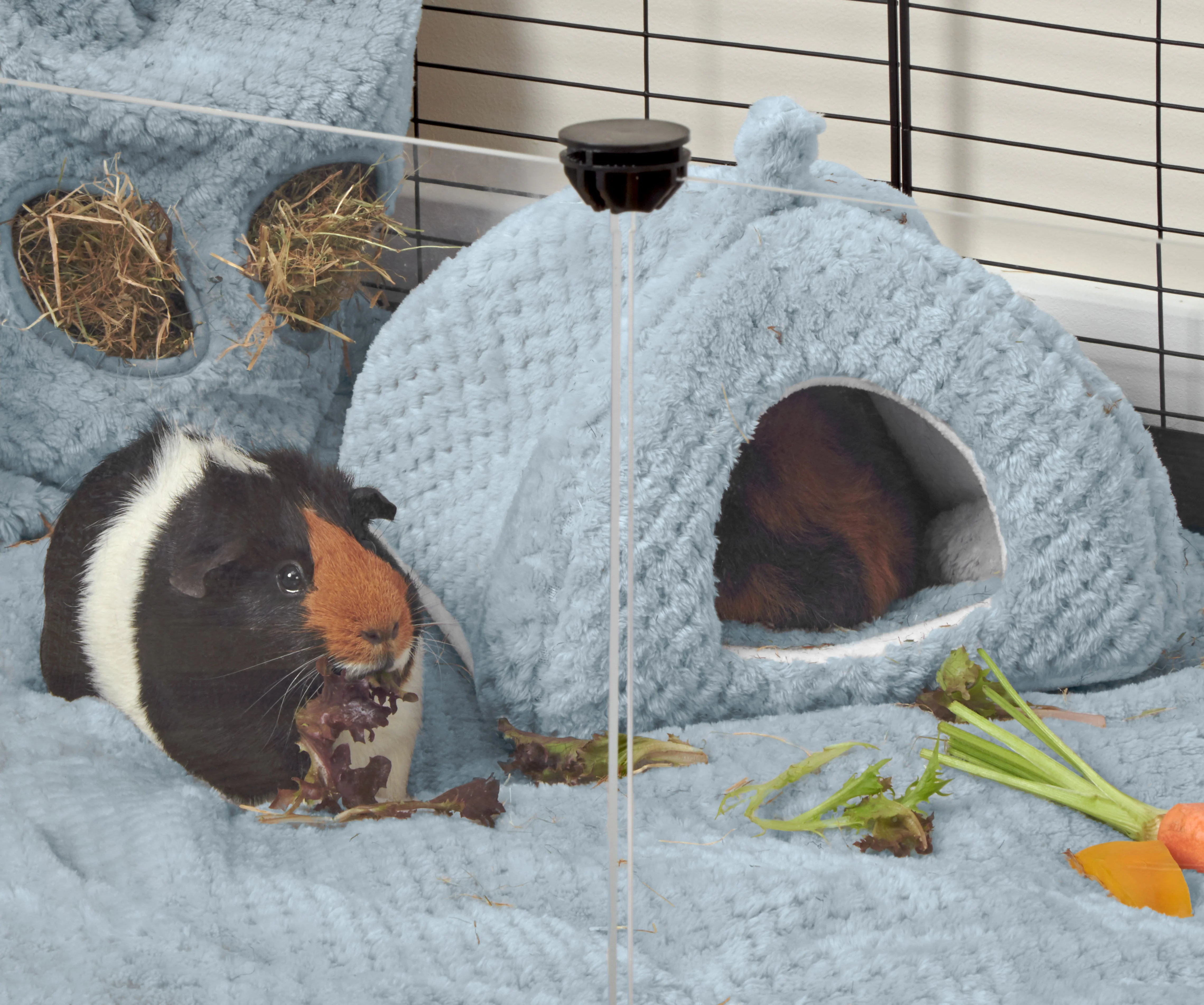 Extra Soft Fleece Hide for Guinea Pigs | Dusky Blue - Image 4