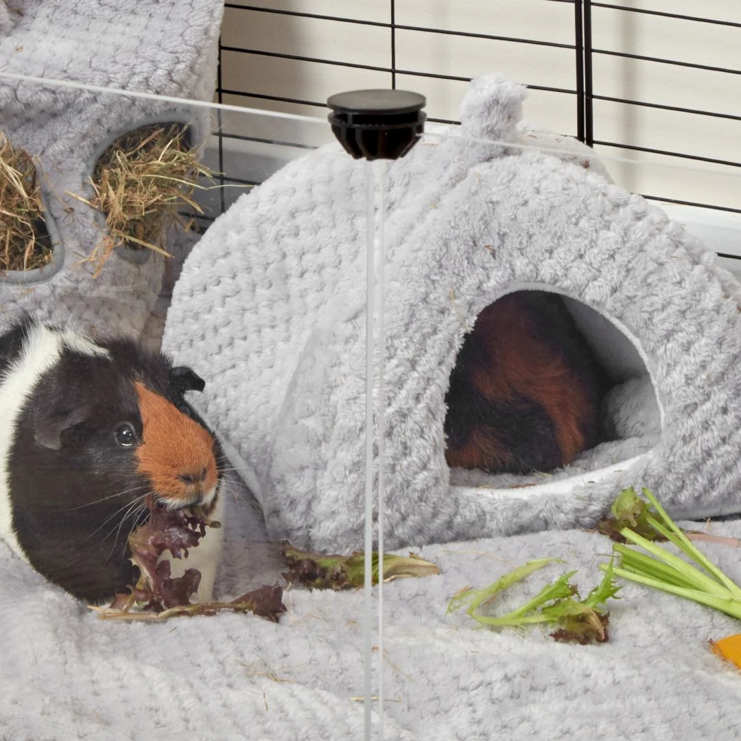 Fleece Hide for Guinea Pigs | Gray - Image 4