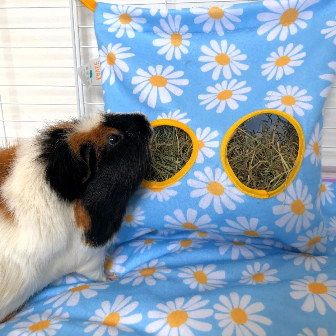 Guinea Pig Hay Bag | Daisy Collection - Image 4