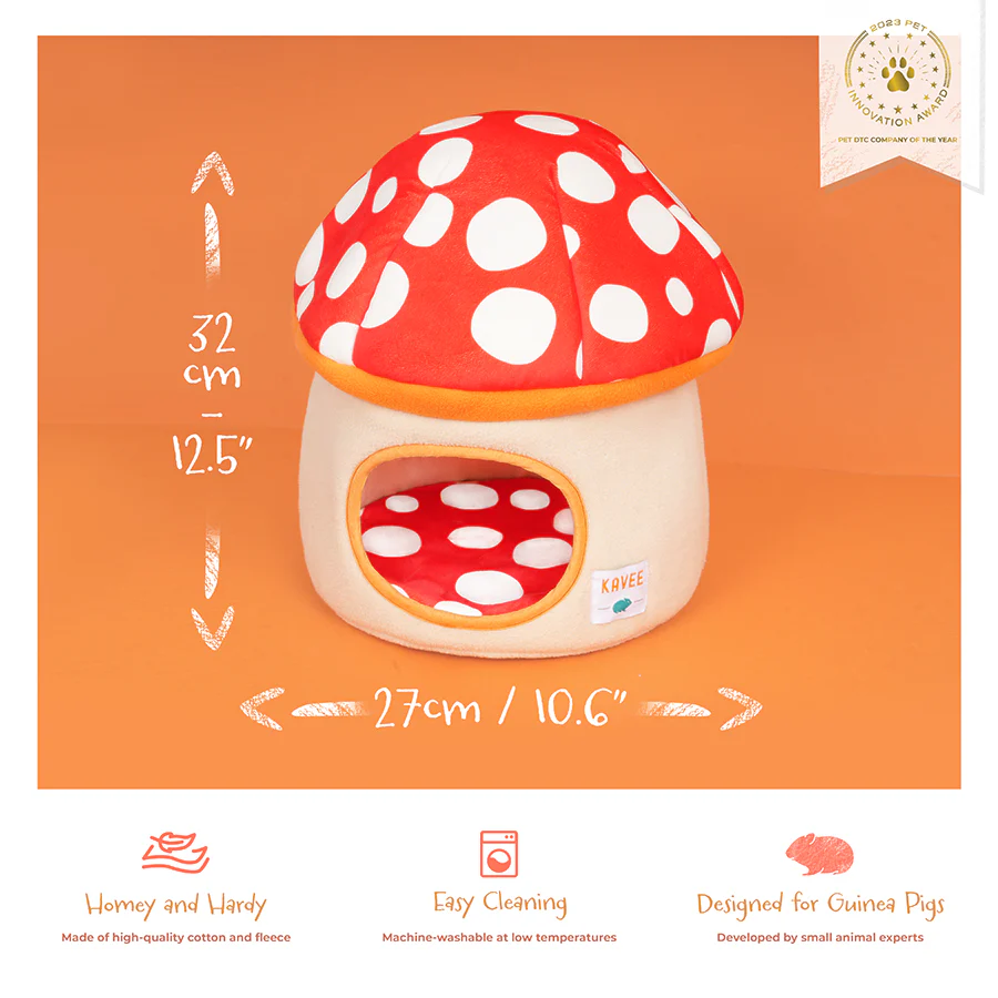 Guinea Pig Hide | Mushroom - Image 4