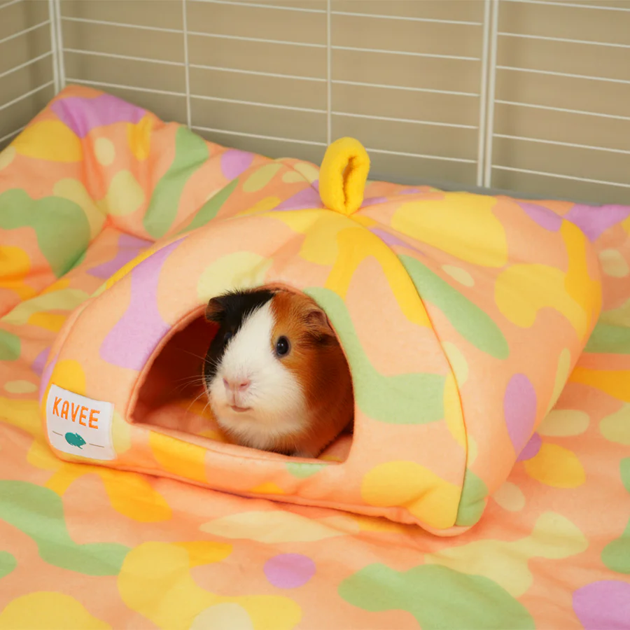 Guinea Pig Hide | Pigcasso V2 Collection - Image 3