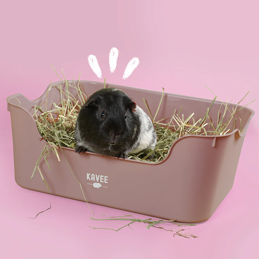 Litter Box for Guinea Pigs & Rabbits - Image 7