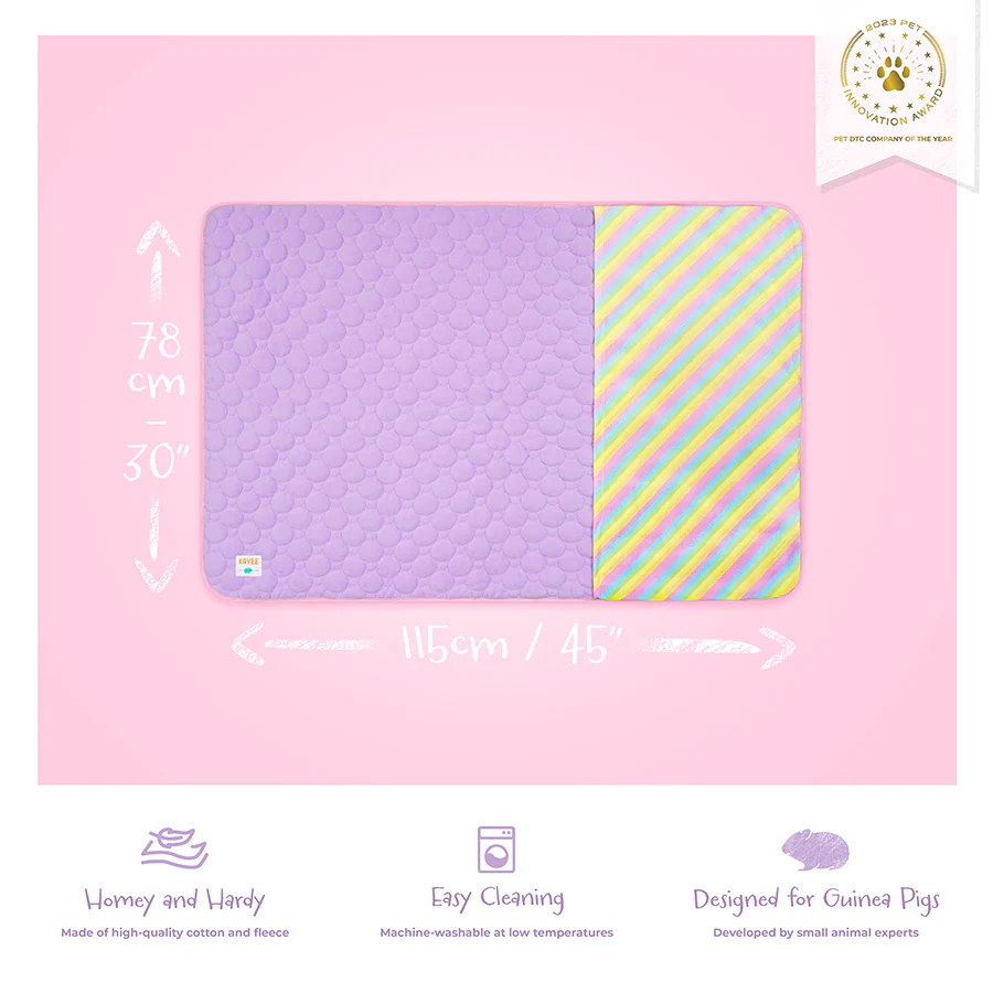 Plush Fleece Liner for Guinea Pigs | Rainbow Collection - Image 5