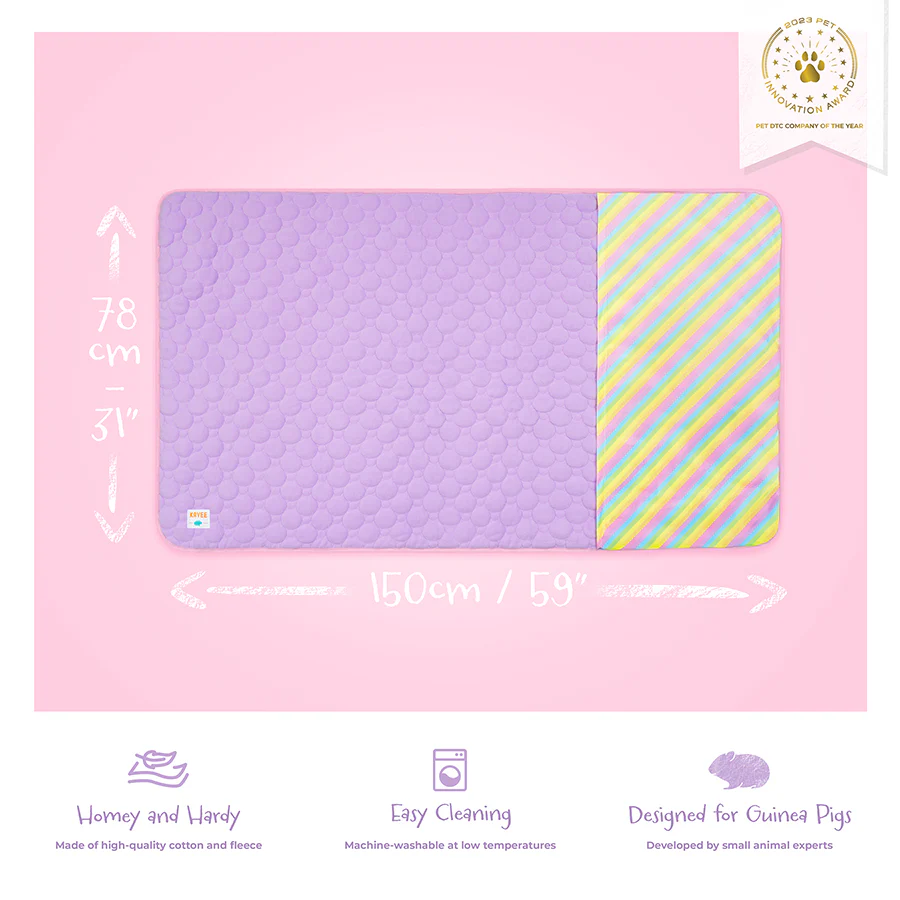 Plush Fleece Liner for Guinea Pigs | Rainbow Collection - Image 6
