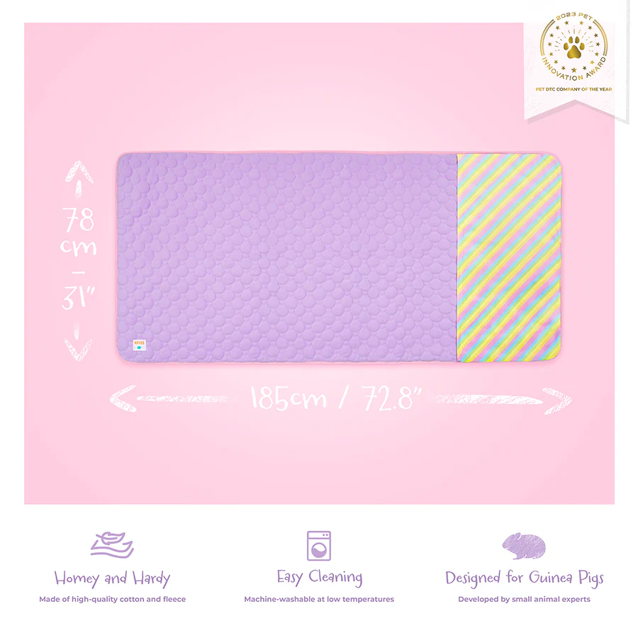 Plush Fleece Liner for Guinea Pigs | Rainbow Collection - Image 7