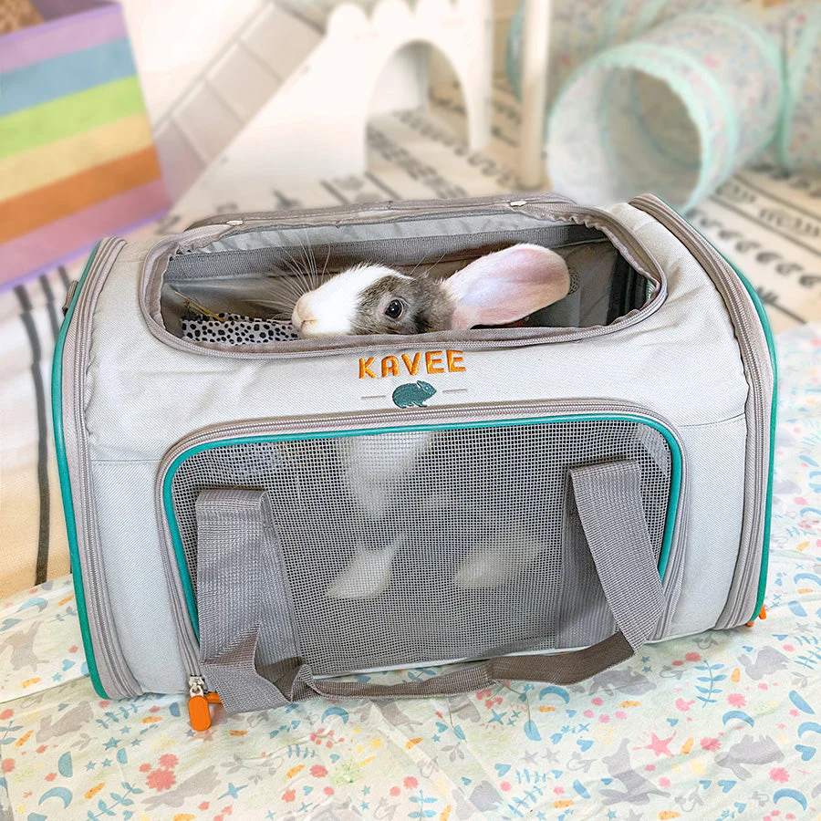 Guinea Pig and Rabbit Carrier - Image 3