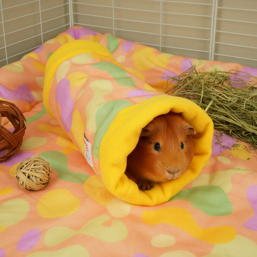 Guinea Pig Fleece Tunnel | Pigcasso V2 Collection - Image 5