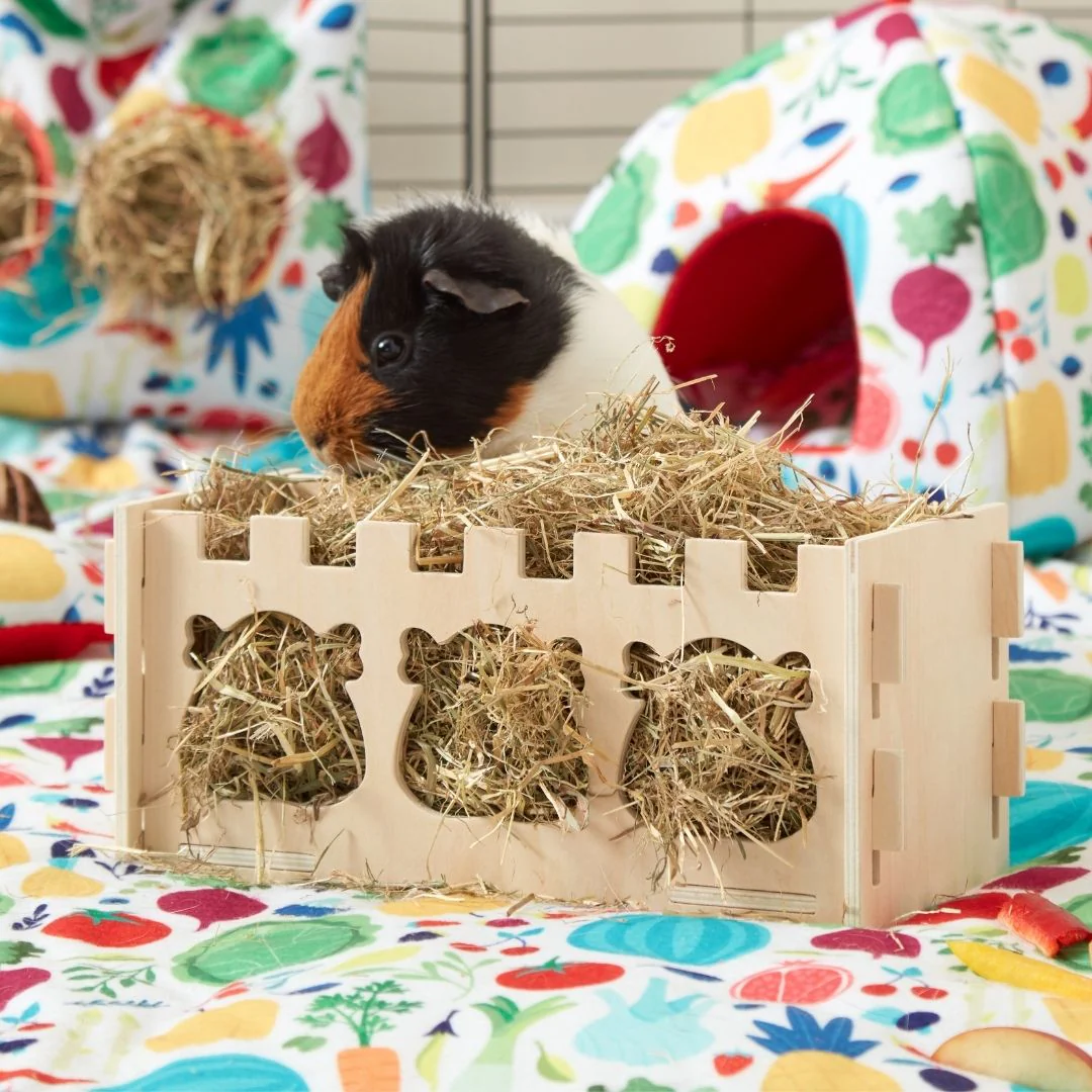 Royal Wooden Hay Rack Made for Chivalrous Cavies - Image 4