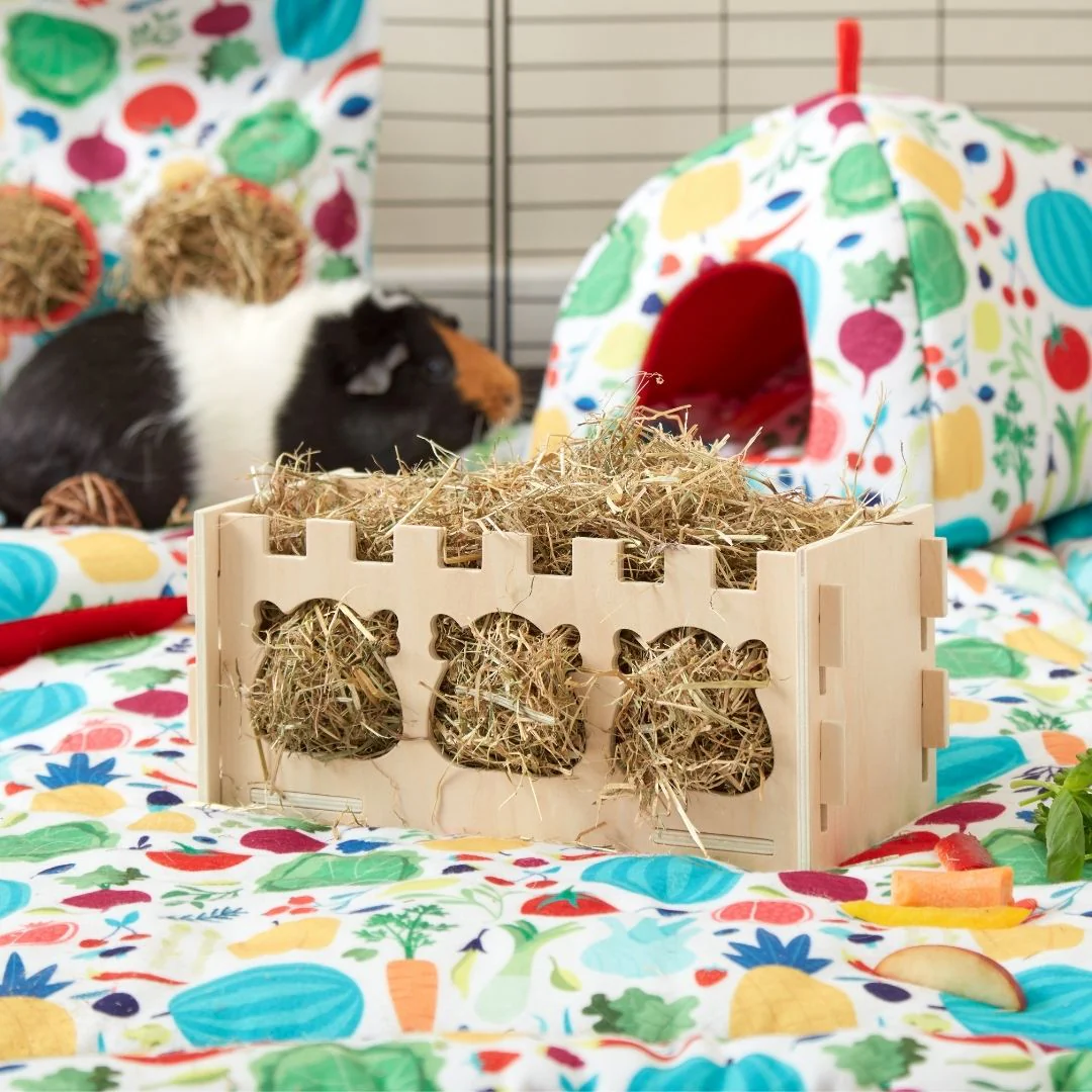 Royal Wooden Hay Rack Made for Chivalrous Cavies - Image 5